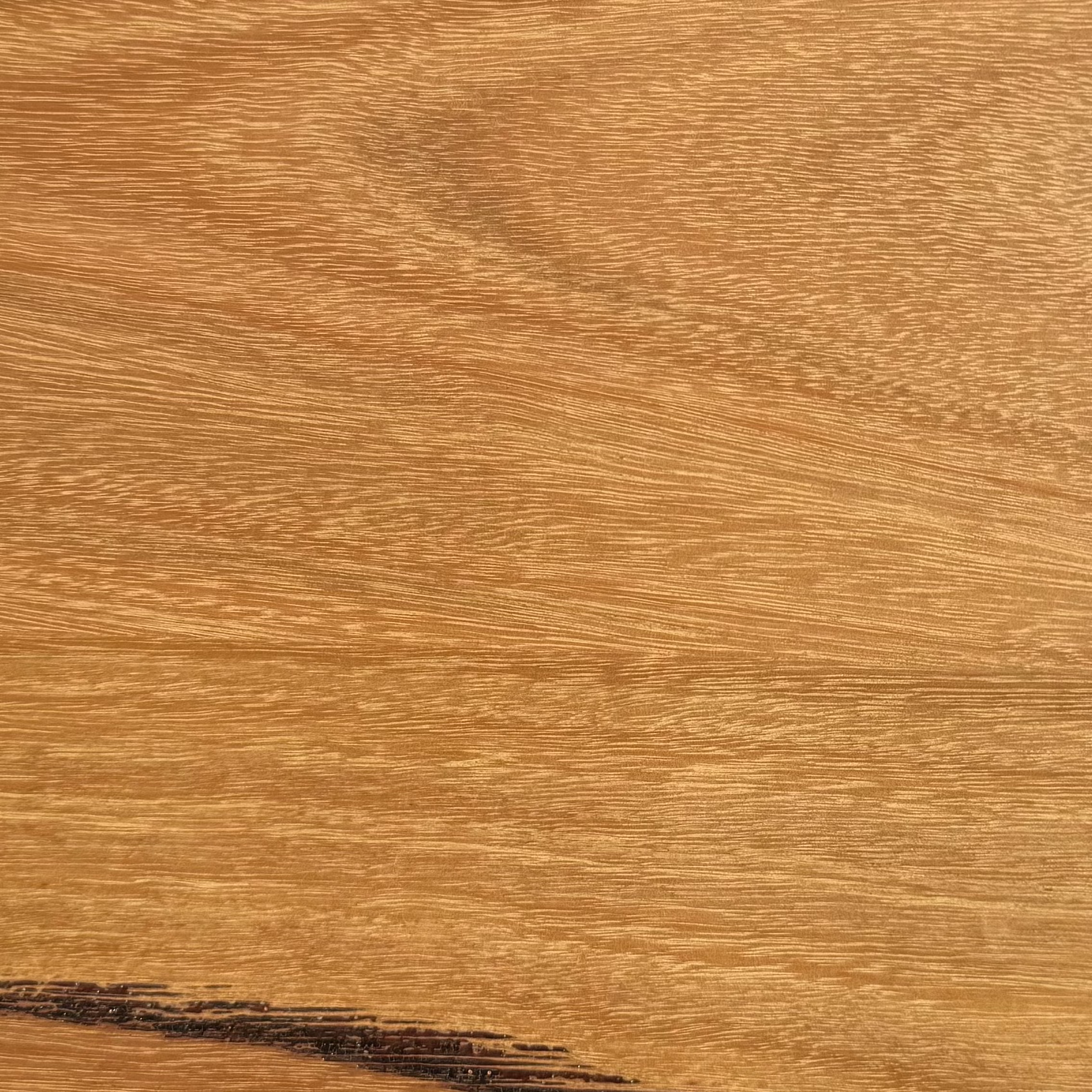 Blackbutt timber with golden tone and straight grain