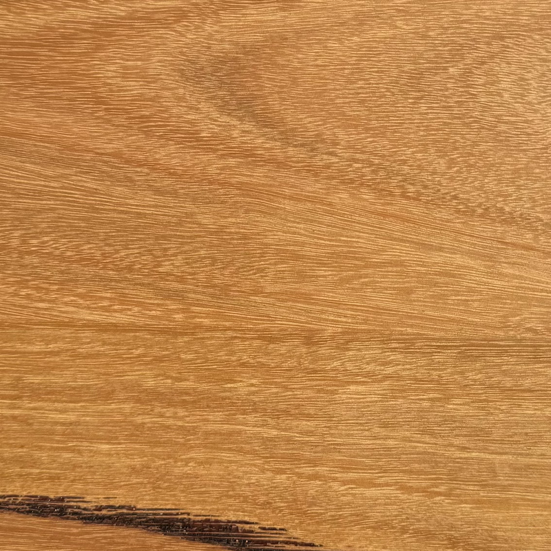 Blackbutt timber with golden tone and straight grain